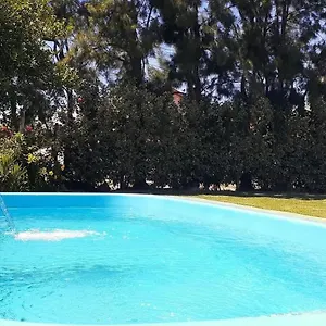 Di Raffaele Bombinhas